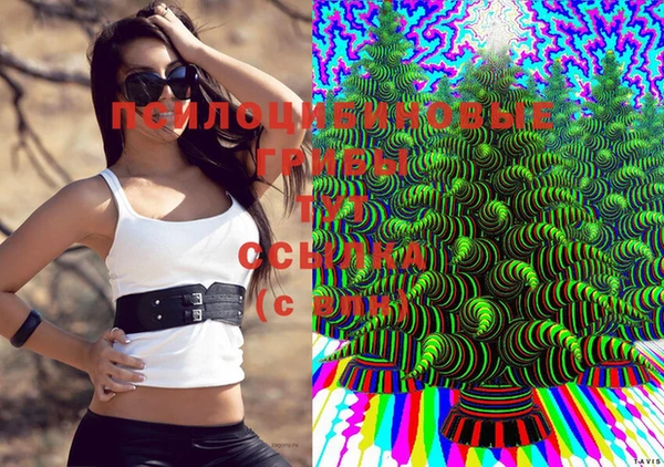 мдма Верхний Тагил
